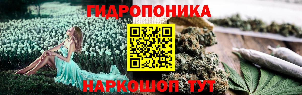 Марихуана семена Кашира